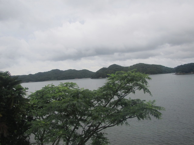 IMG_2232.JPG
