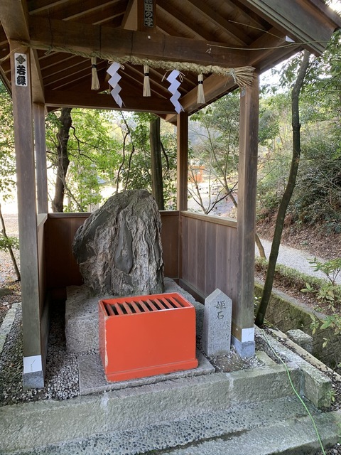 IMG_6769.JPEG